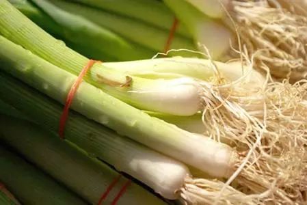 养生| 五种蔬菜根,中医好帮手,养生好疗效