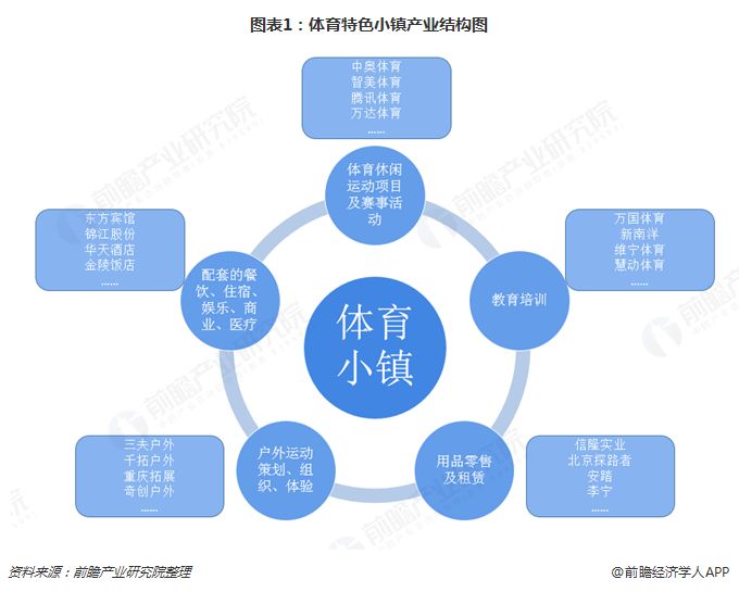 散打培训：让青春在汗水里燃烧的火把