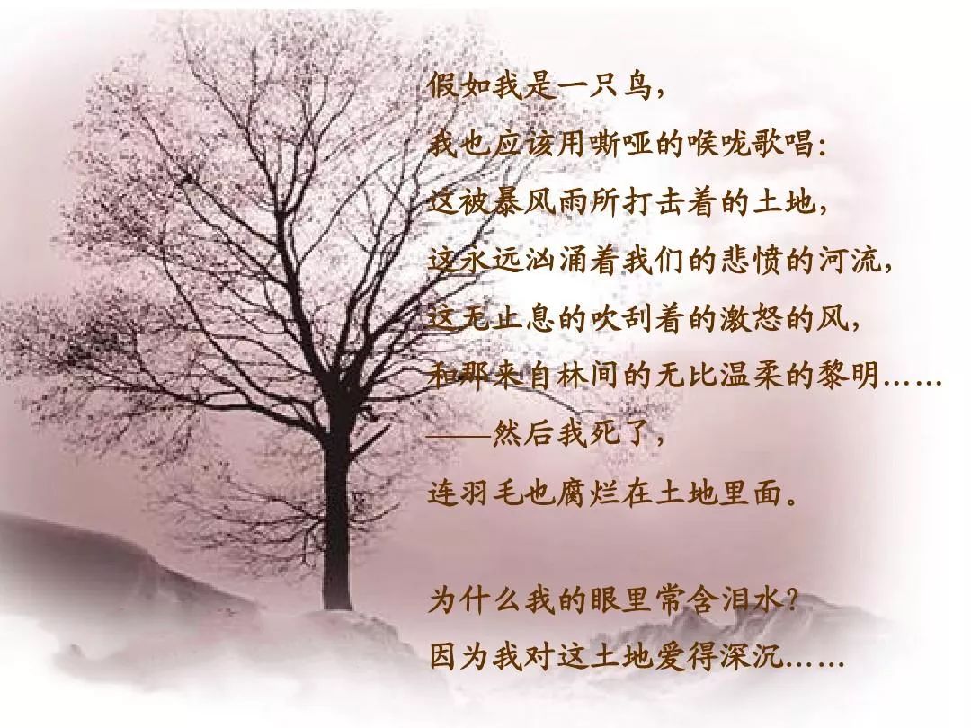 红色诗词为什么我的眼里常含泪水因为我对这土地爱得深沉