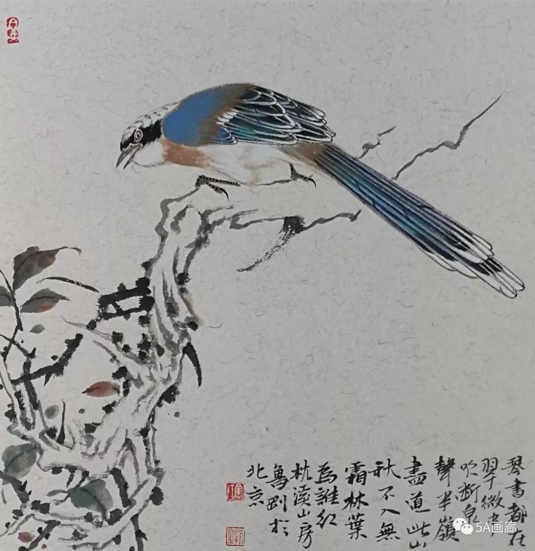 5a推荐笔墨灵动鲁刚