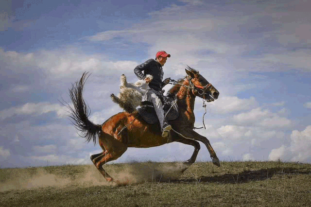 640_426gif 动态图 动图