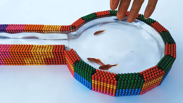 老外用巴克球拼鱼缸,时尚又新潮,重点是真的能养鱼