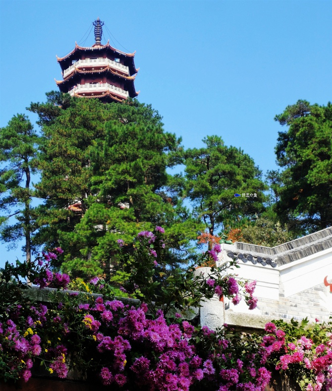 湖南南岳衡山这座千年古寺究竟有何渊源吸引众多韩国日本僧人前来朝圣? 湖南南岳衡山这座千年古寺究竟有何渊源吸引众多韩国日本僧人前来朝圣?