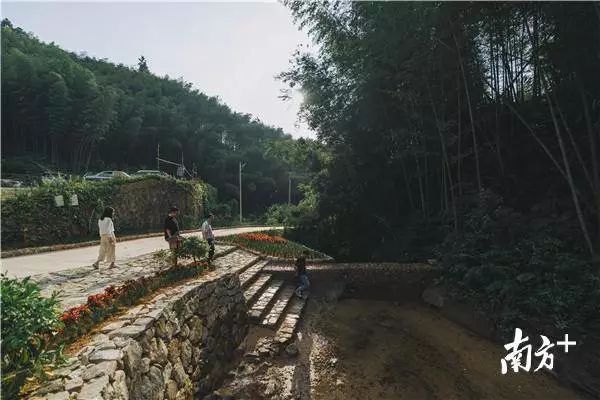 乡村振兴龙门南昆山二坑村原生态特色民宿成为乡村旅游发展新样本