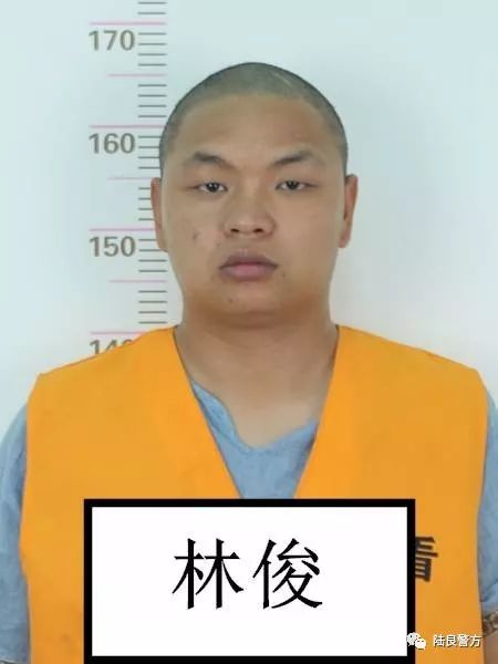 大快人心陆良张云张斯涵大疯子等人被抓了全城征集犯罪线索