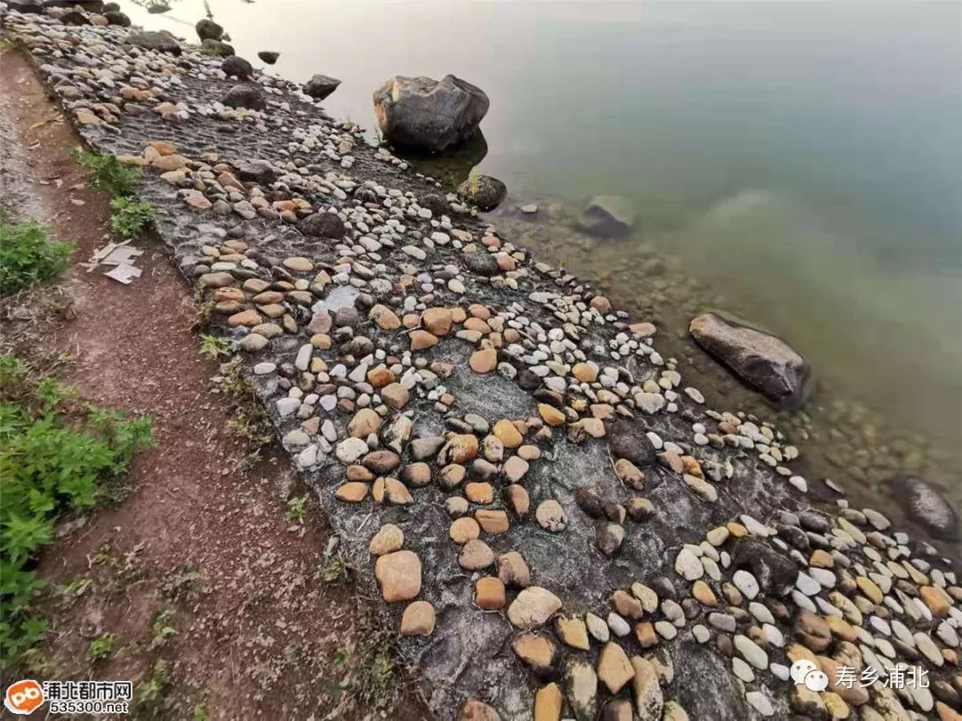 浦北新城公园大量鹅卵石被挖,必须盘他!