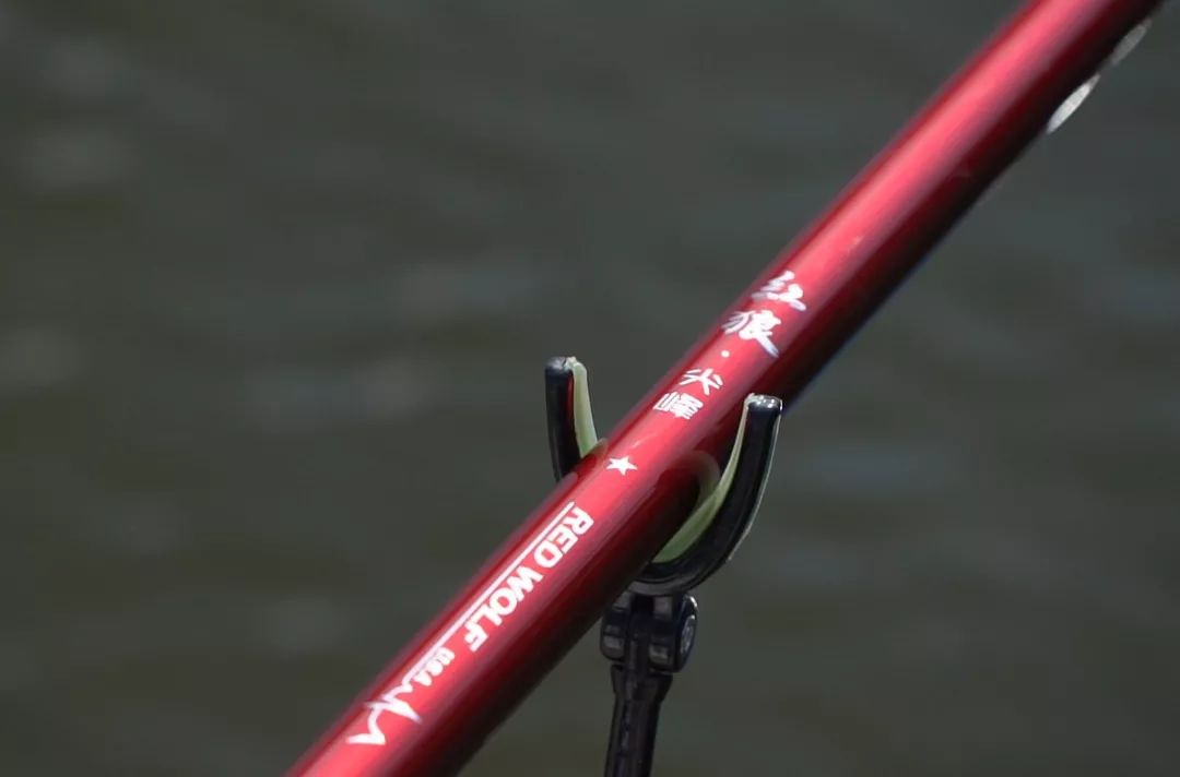 红狼尖峰大物野蛮与暴力硬拉20斤青鱼