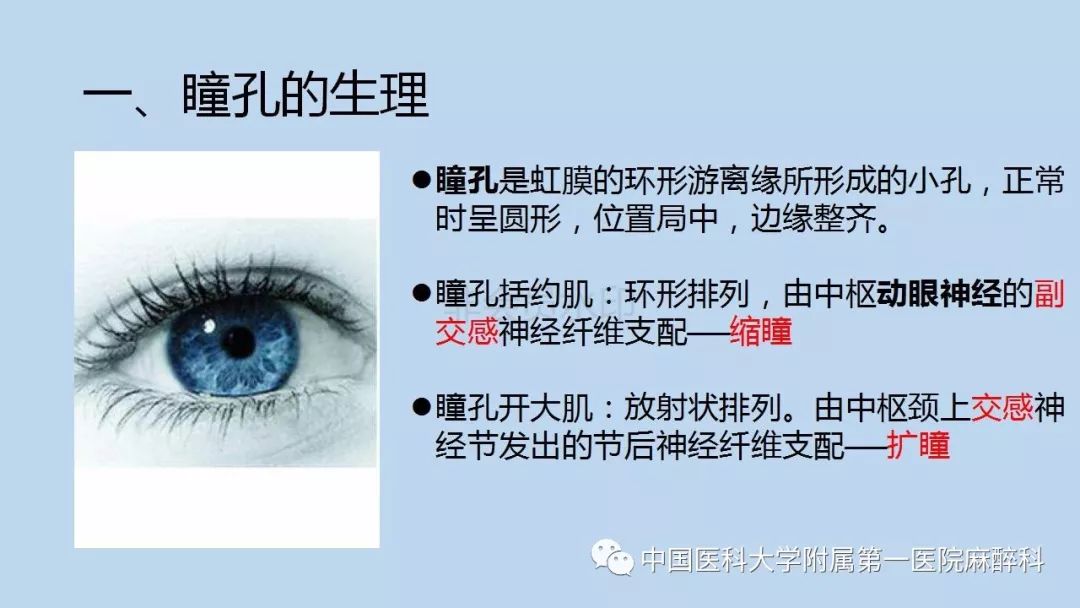 围术期患者瞳孔的变化及意义