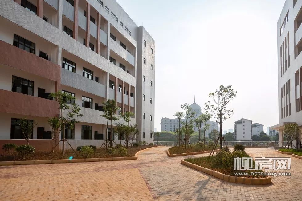柳州这所中学9月正式启用,高清大图抢先看!_马鹿山