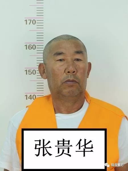 大快人心陆良张云张斯涵大疯子等人被抓了全城征集犯罪线索