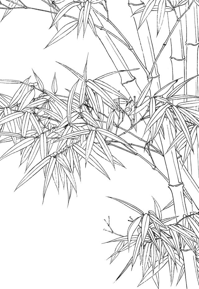35幅兰竹白描线稿资料希望对你有帮助