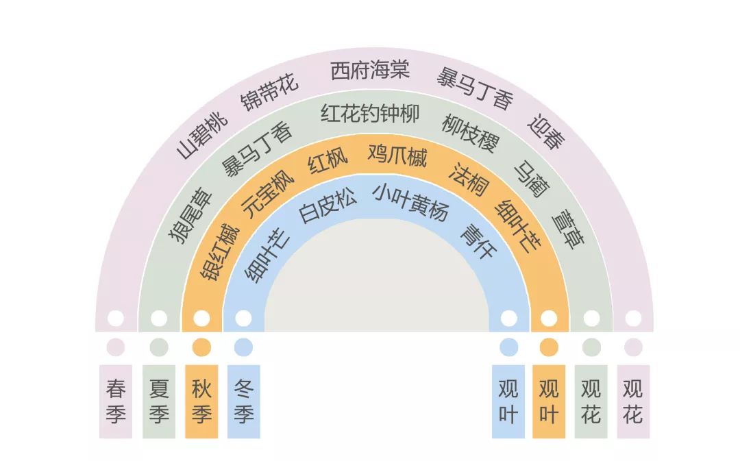 绝美北航现神秘天空之镜星河云雾还有小金字塔这里的水从天上来