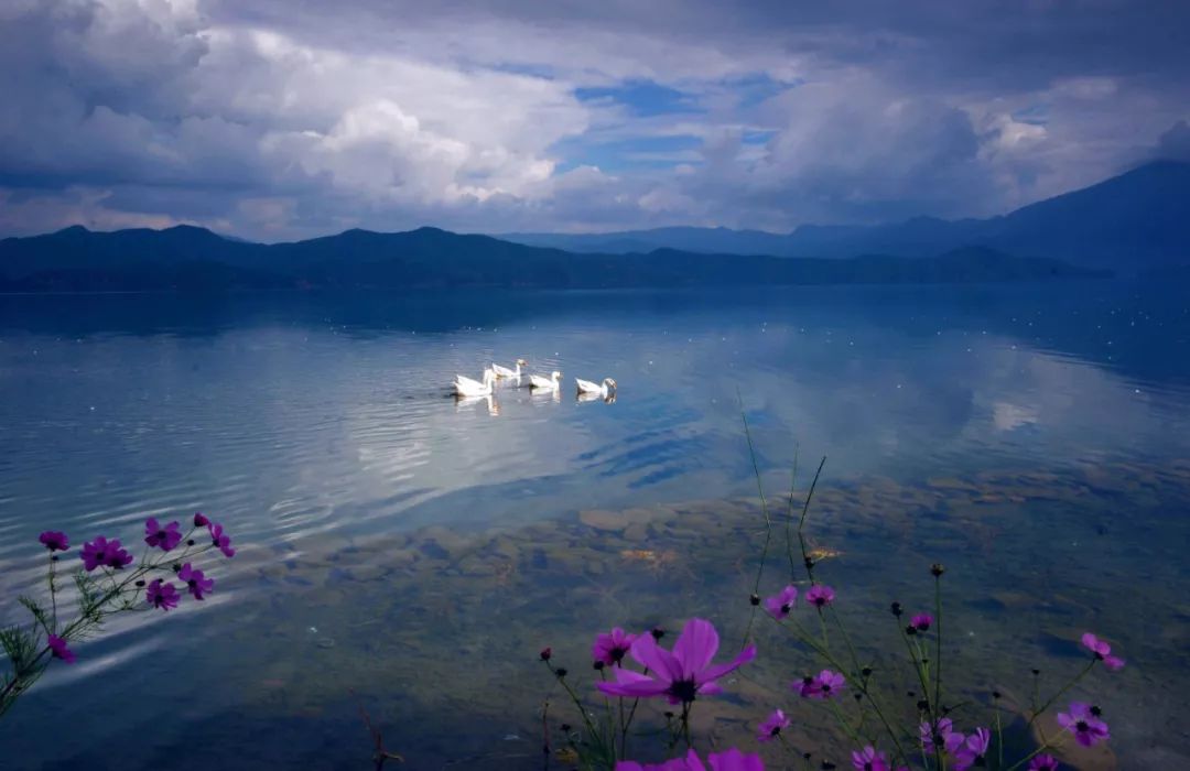 泸沽湖电影图片