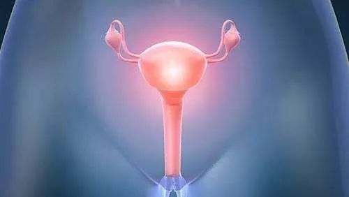 孕早期粉色分泌物图片图片