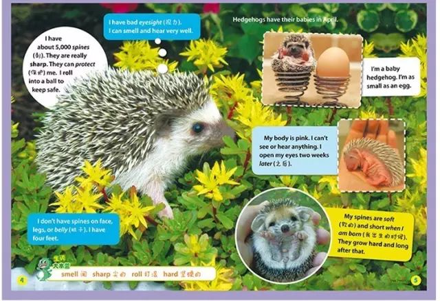 开学必备21世纪英文学生报新学期征订通知