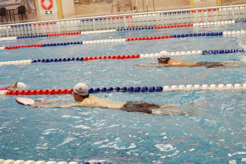 游泳技巧自由泳鞭腿打腿技术