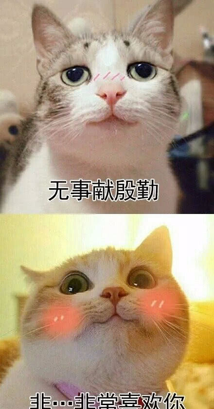 撩妹必备神套路无事献殷勤