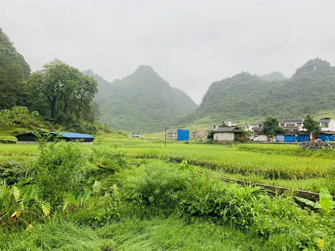 十万山瑶族乡风景区图片