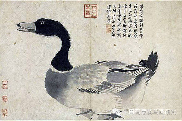 沈周花鸟 冠绝古今