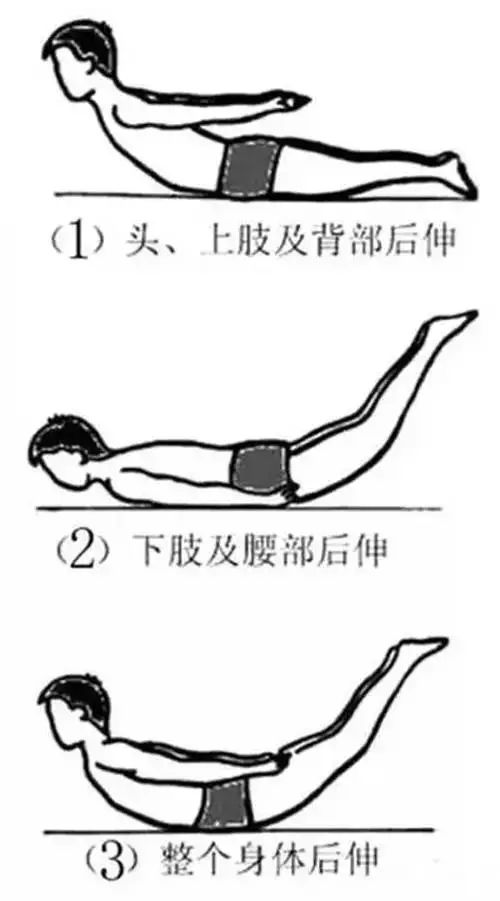 一个小动作 , 一生腰椎间盘不突出!