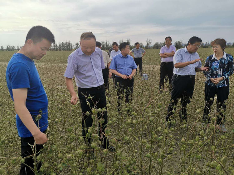 农七师团场行政地图图片