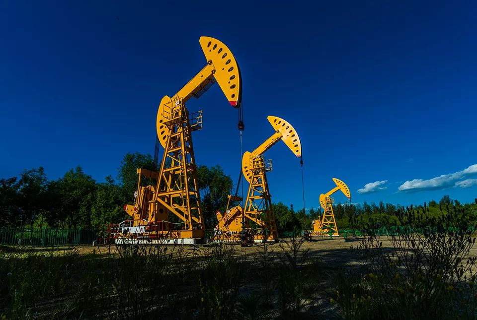 油气田开发专业软件应用大赛背后的故事