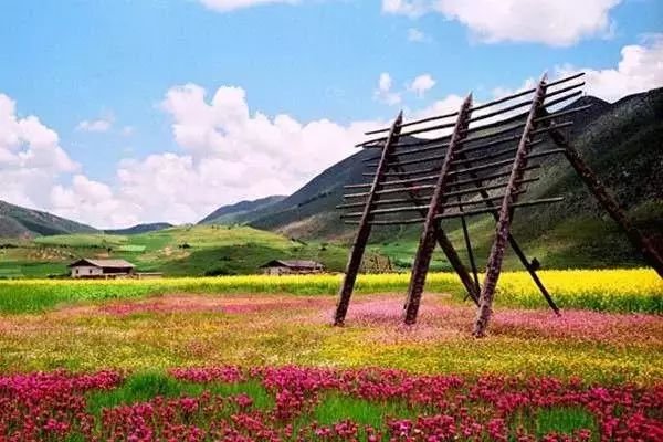 原來這些才是雲南最值得去的地方！ 旅遊 第15張