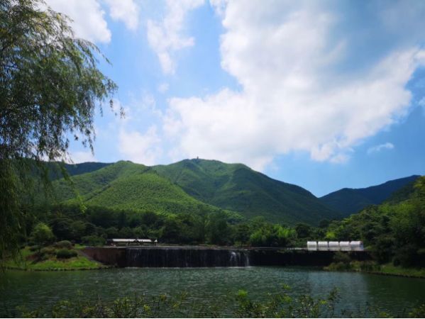 深呼吸 亲自然 宜兴竹海"瑜"你有约,第四届国际瑜伽节来啦~_风景区