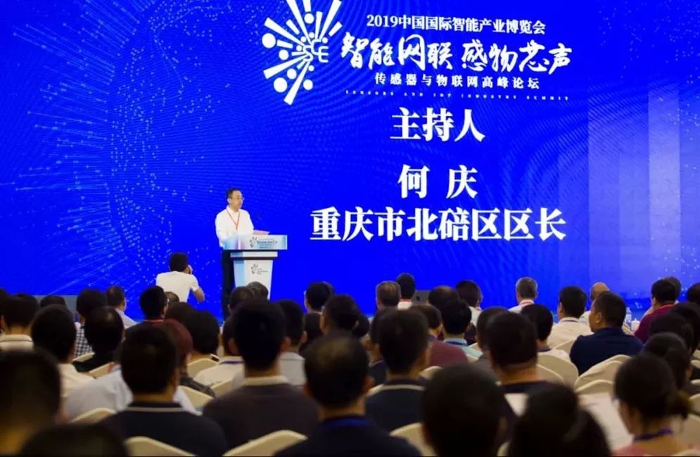 市大数据应用发展管理局副局长李斌,北碚区领导何庆,董伦,陈德川出