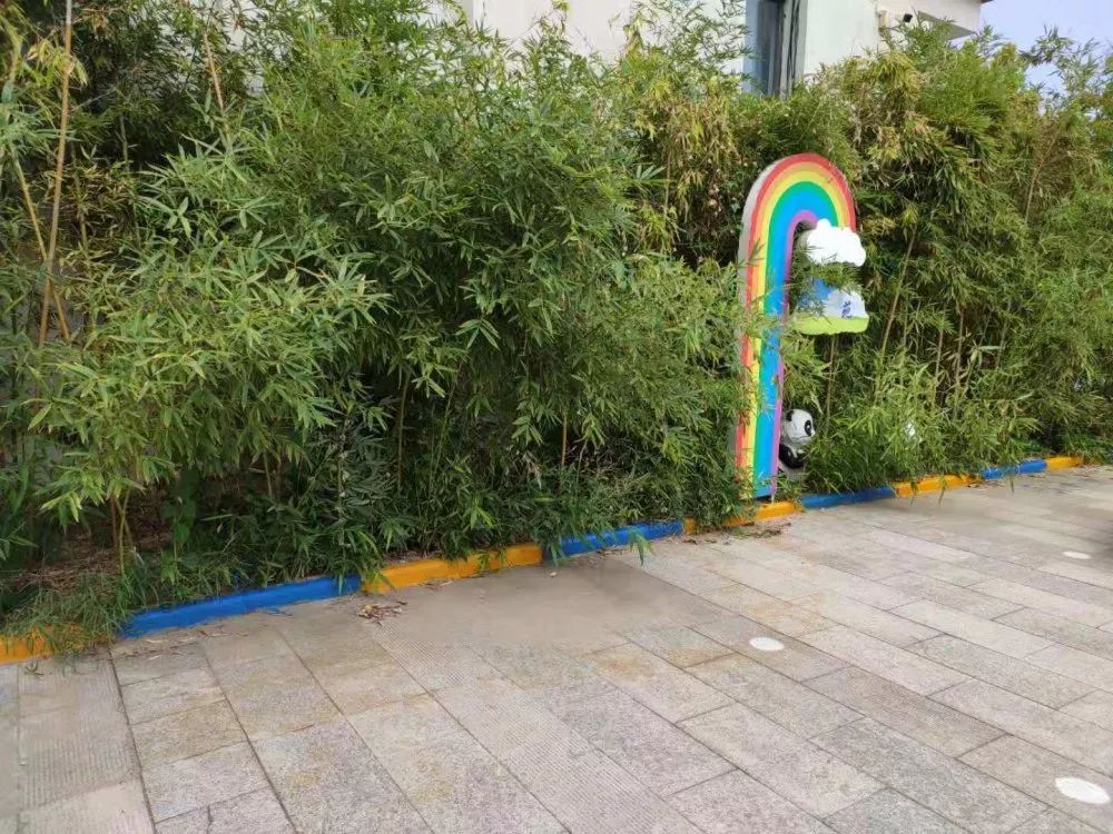 家校携手扮靓七彩校园世纪路小学开展美化校园主题实践活动