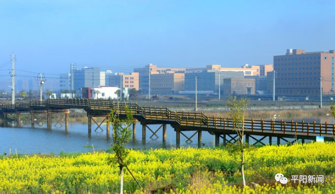 平阳滨海新区三服务为各大企业解难题