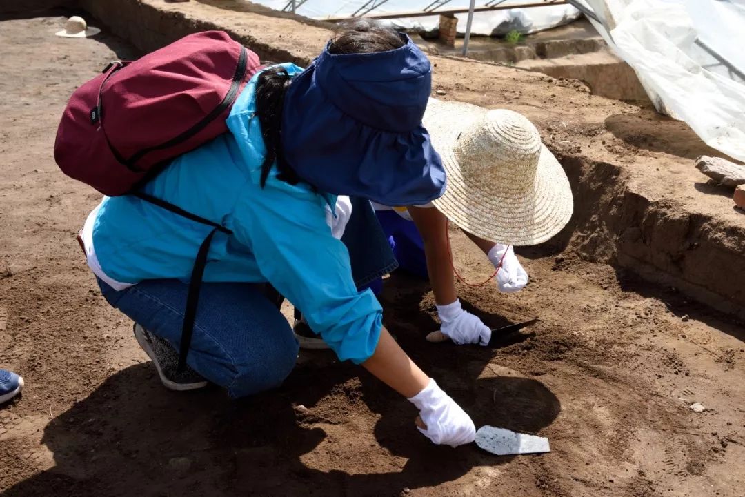 夏令营67孩子们在考古工地上国博首次公共考古纪实