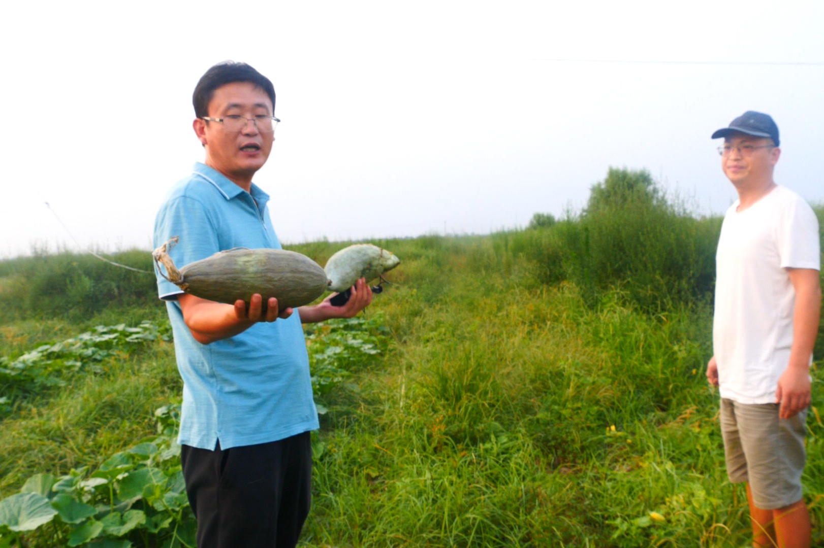 世上最丑的一种南瓜他种了4亩地1斤都没卖出去
