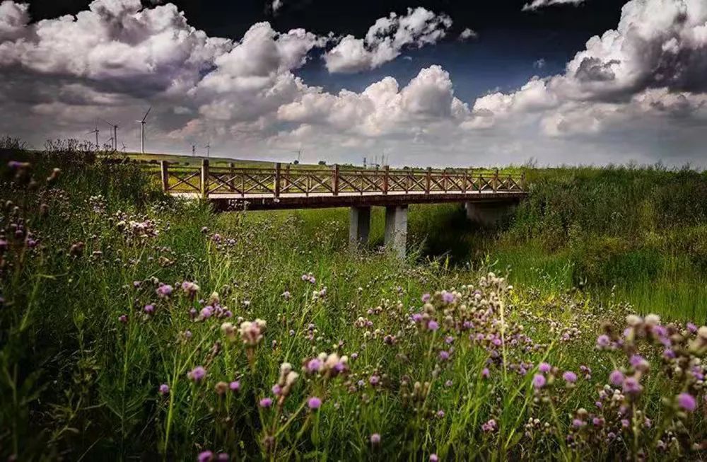 散文相约美丽的那苏图作者齐彩娟