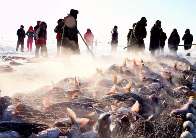 #一城一夏#查干湖都是洗澡鱼?请听国家非遗传人的权威解答,真相显而易见 #一城一夏#查干湖都是洗澡鱼?请听国家非遗传人的权威解答,真相显而易见