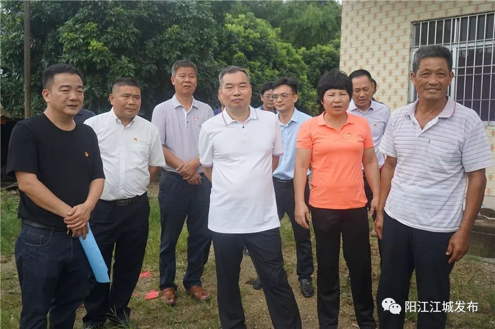 扎实推进美丽乡村建设陈基文到双捷镇调研新农村建设及河长制工作