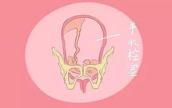 车停稳,门打开,确切地说,像是被撞开,我隐约听见等在门口的医生喊:"快