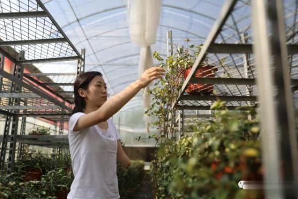 90後獨臂女孩賣花年入百萬7歲遭遇車禍失去左臂