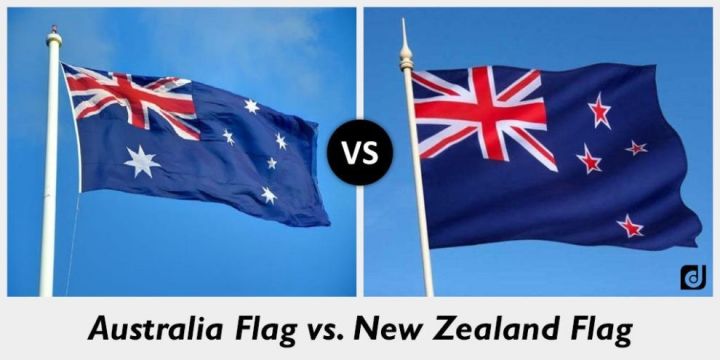 一电视台竟把新西兰当成日本kiwi网友已经习惯了