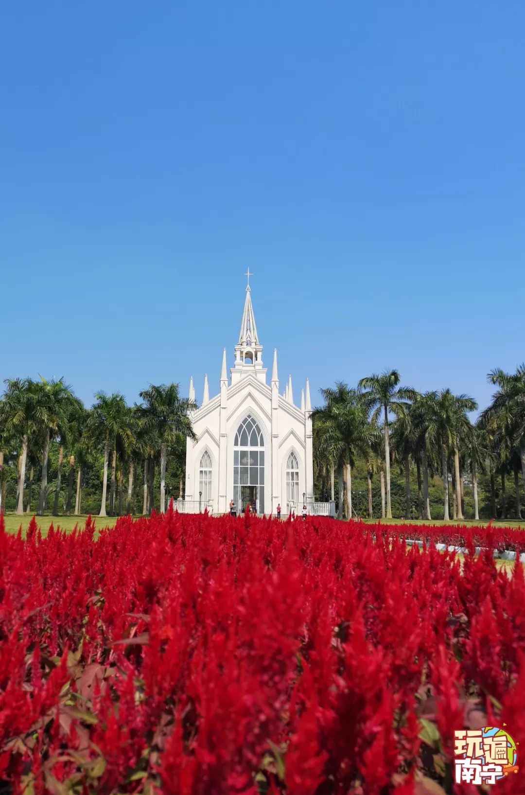 免费南宁花花大世界连续九天免费入园原价40的门票现在一分不要