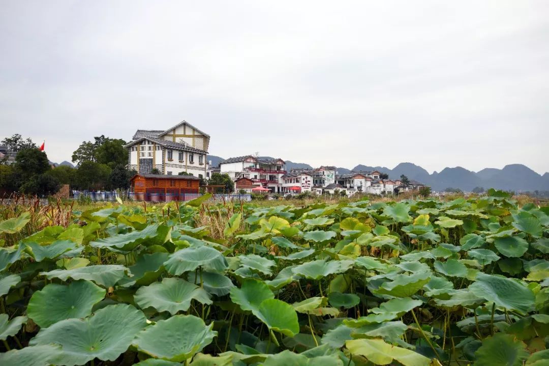 北斗七寨旅游度假区图片