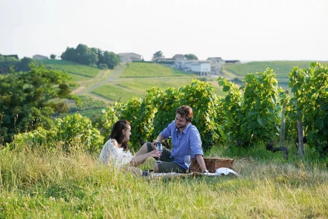 波尔多骑行之旅:葡萄园里的悠闲假期(上篇)