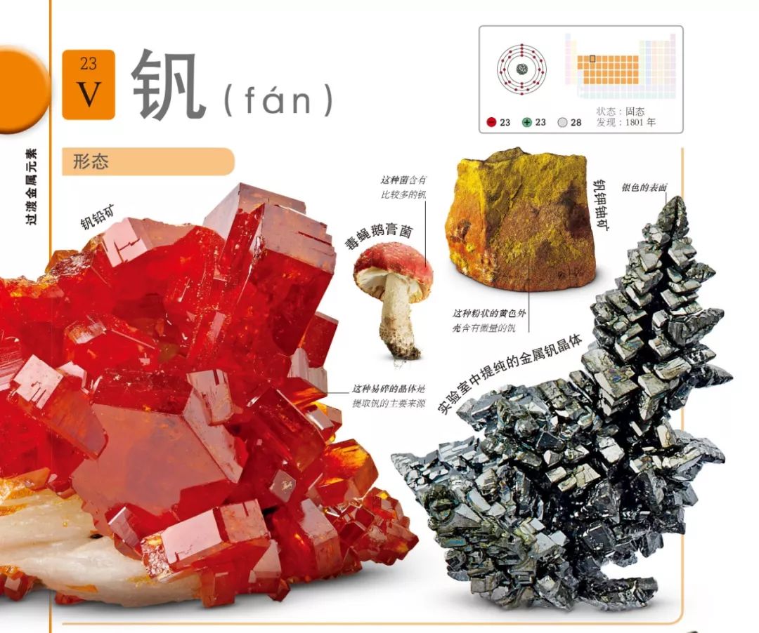 《dk化学元素》出大招,孩子不费劲学化学!