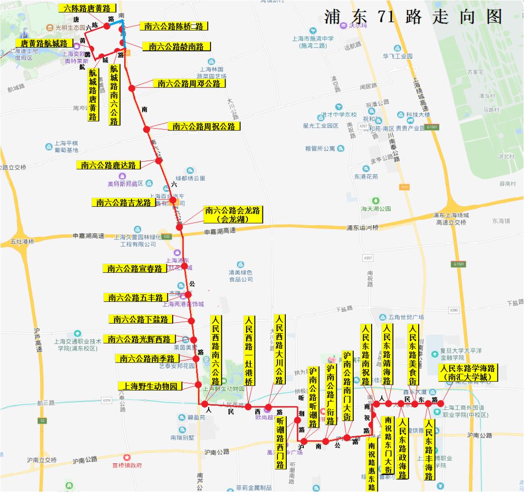 上海51公交站的线路图图片