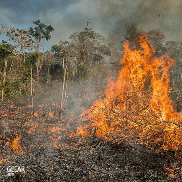 不久前亚马逊森林大火持续多天,他有份创立的环保组织「earth