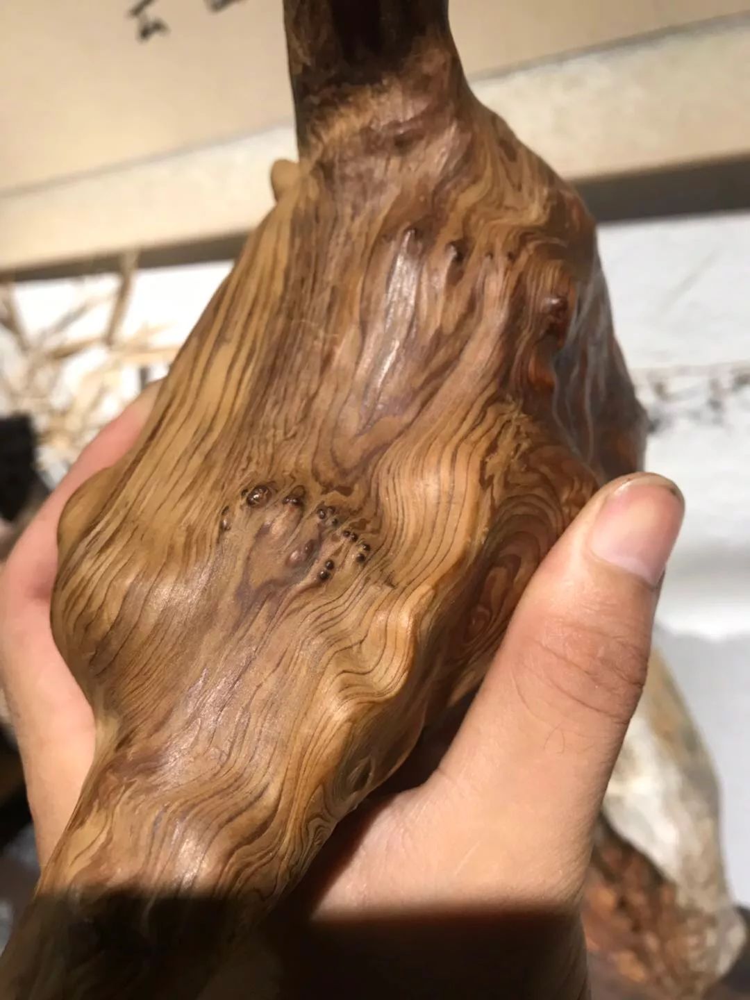 崖柏圈重要发现,玩家的福音(有图有真相)