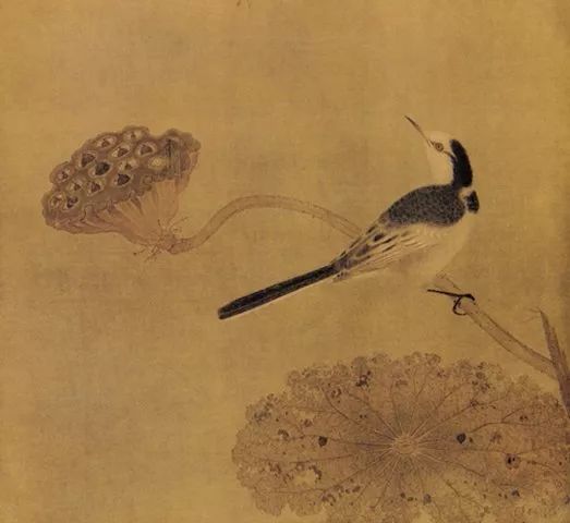 大师们画笔下的枯荷韵味无穷