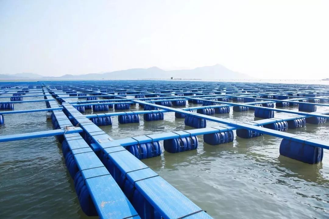 养殖保险哪些公司有 养殖场上保险