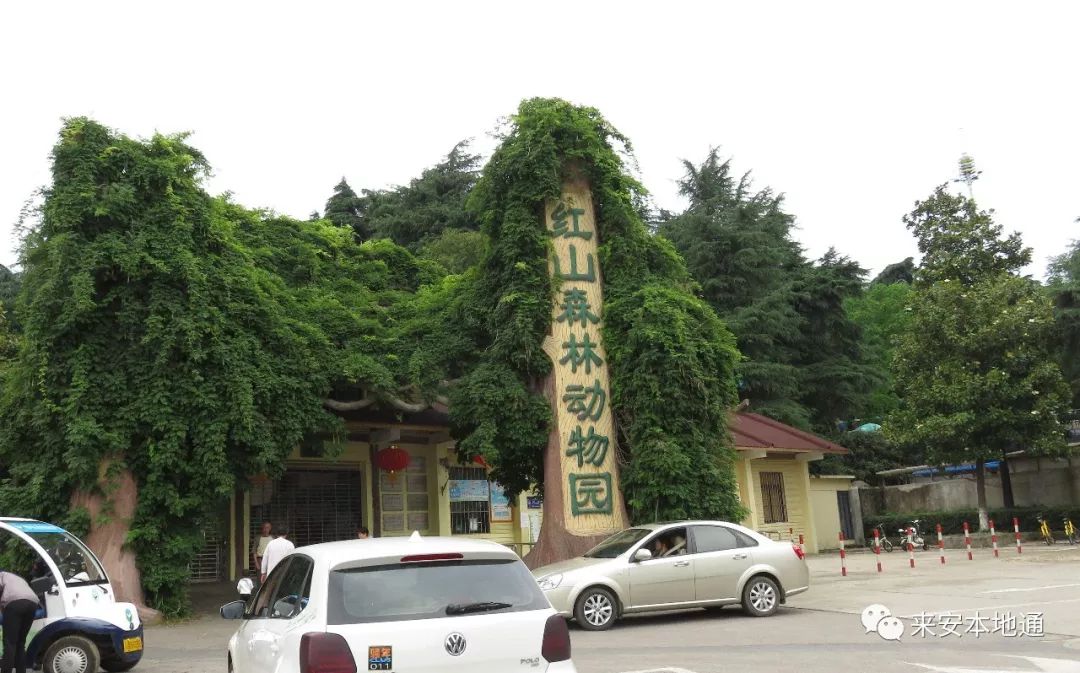 南京红山森林动物园门票29.8元
