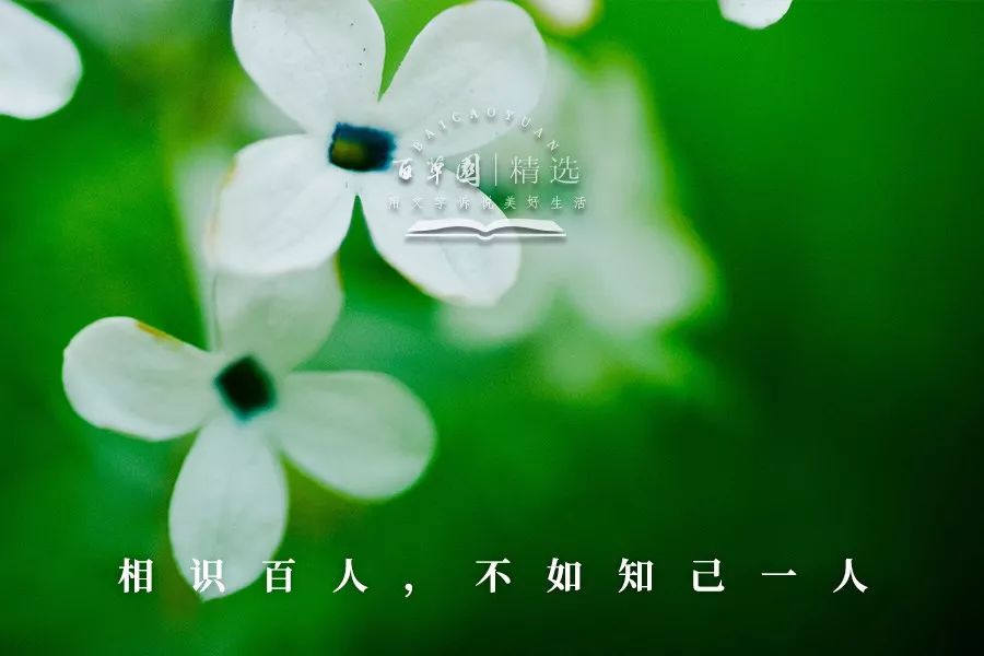 夜读:相识百人,不如知己一人